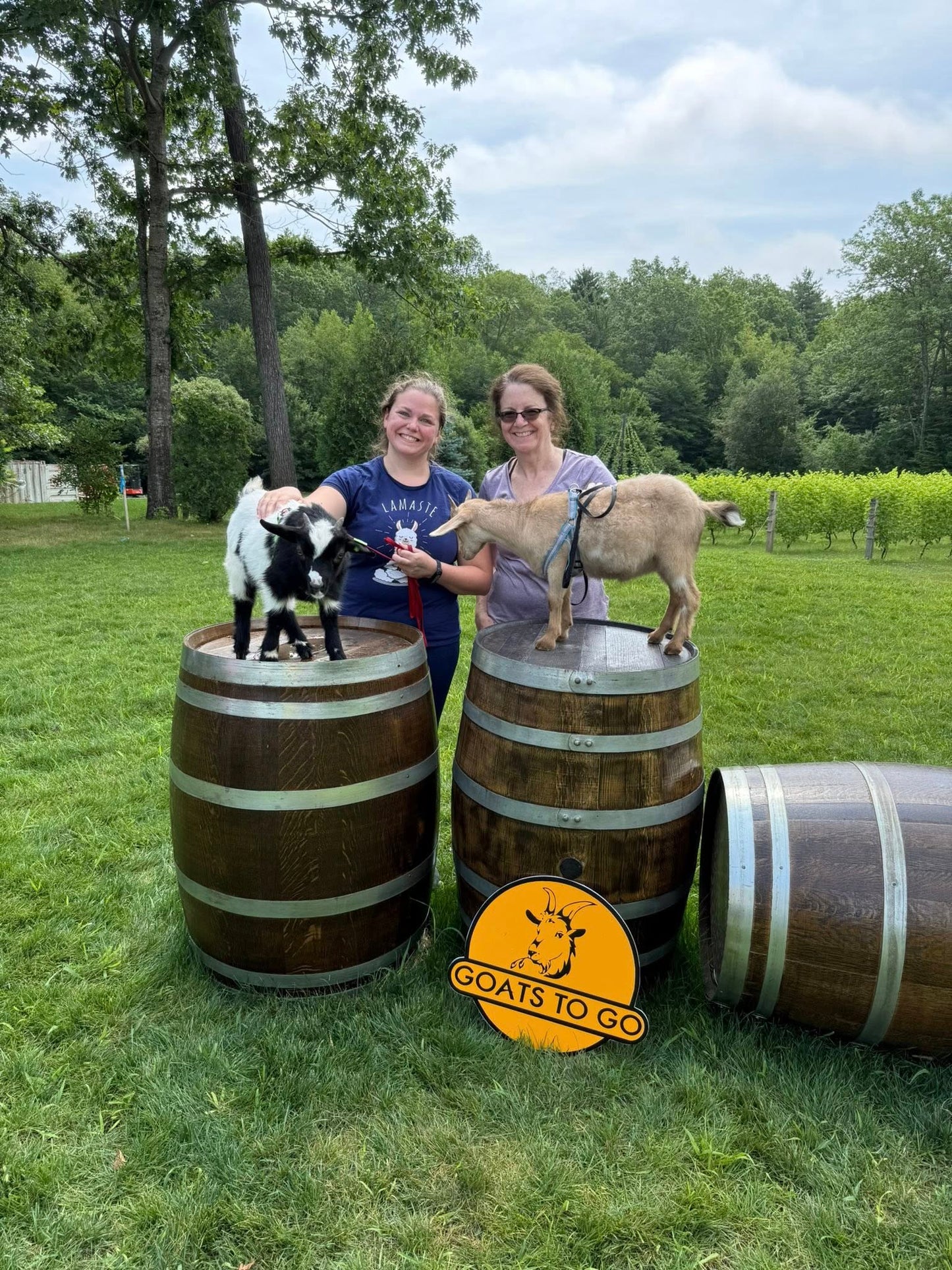 10/2/2025-KIDS Goat Stuffy & GOAT SOCIAL Workshop @ Goats To Go-Georgetown, MA