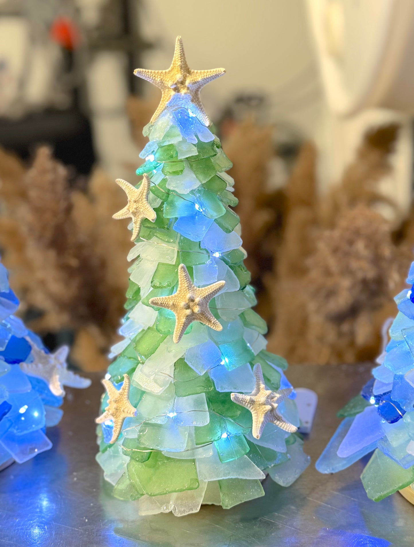 9/18/2025-Tumbled Glass Tree & Succulent Workshop @ Central Congregational Church