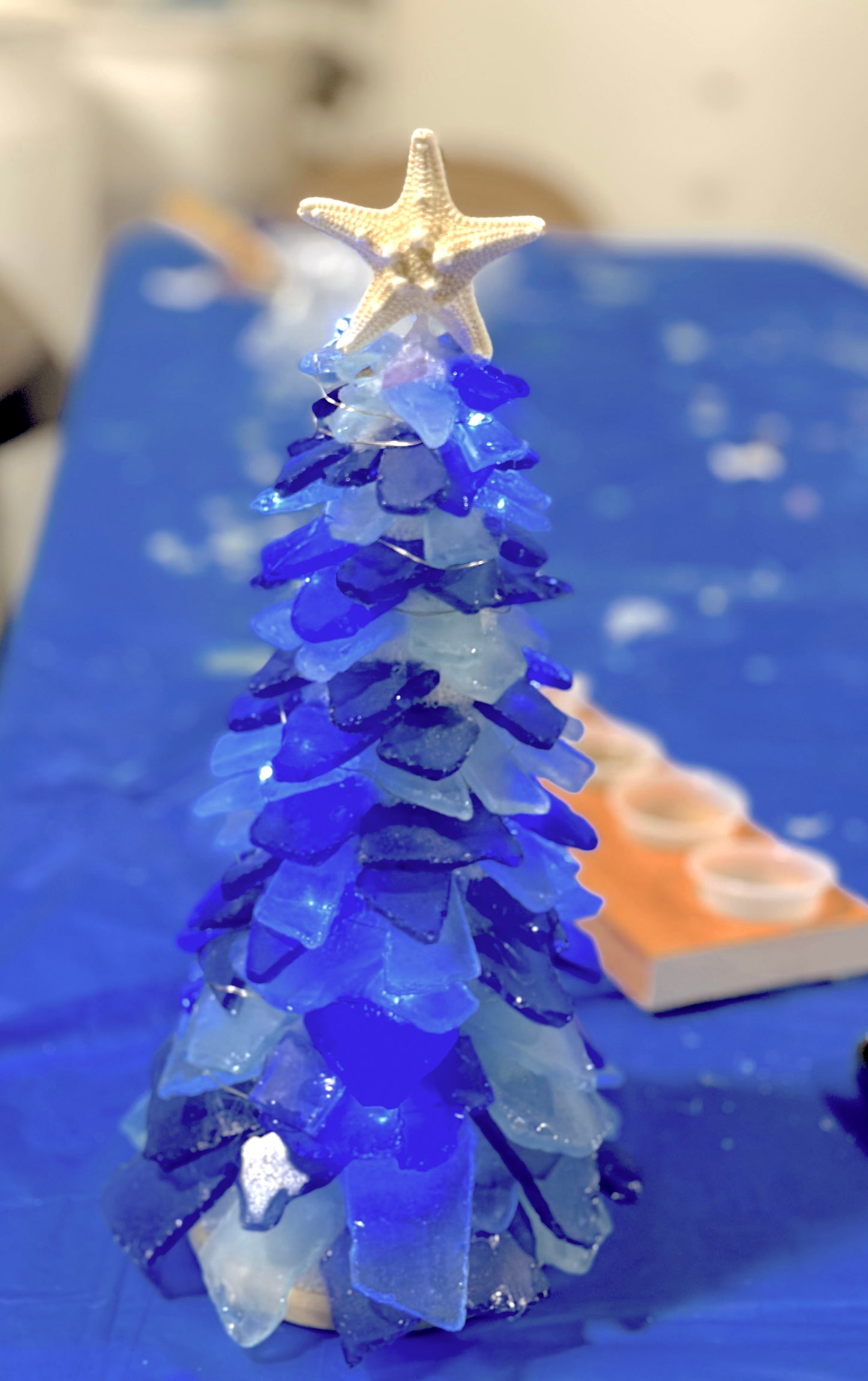 9/18/2025-Tumbled Glass Tree & Succulent Workshop @ Central Congregational Church