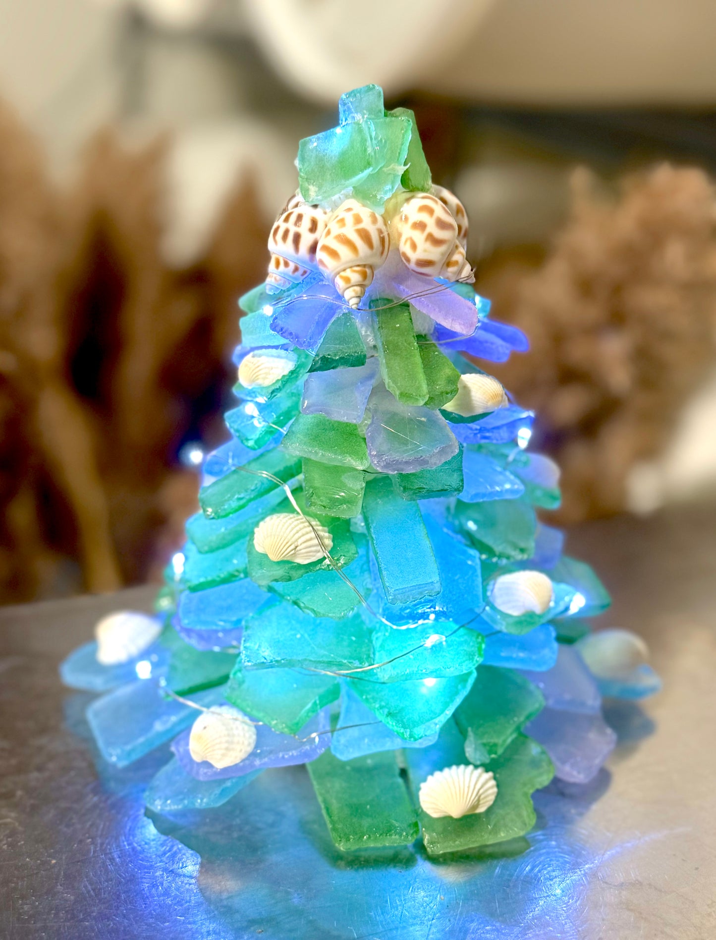 9/18/2025-Tumbled Glass Tree & Succulent Workshop @ Central Congregational Church