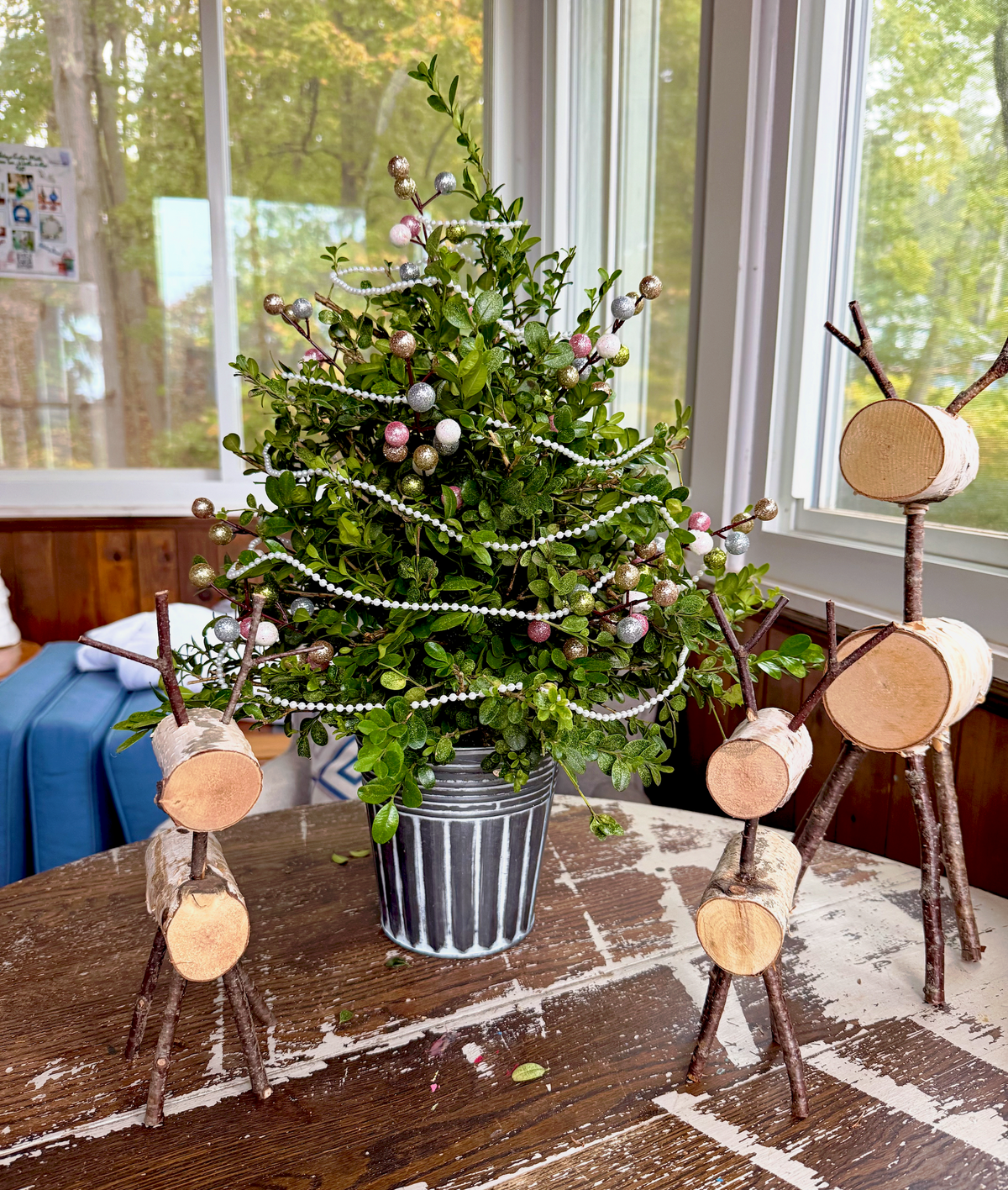 12/4/2026 Fresh Boxwood Tree Workshop @ Art Workz Creative Studio-Amesbury, MA