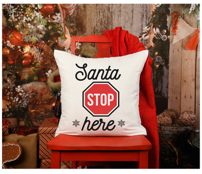 Holiday Pillow Gallery