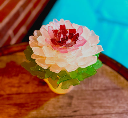 Tumbled Glass Succulent Mail-Home Kit