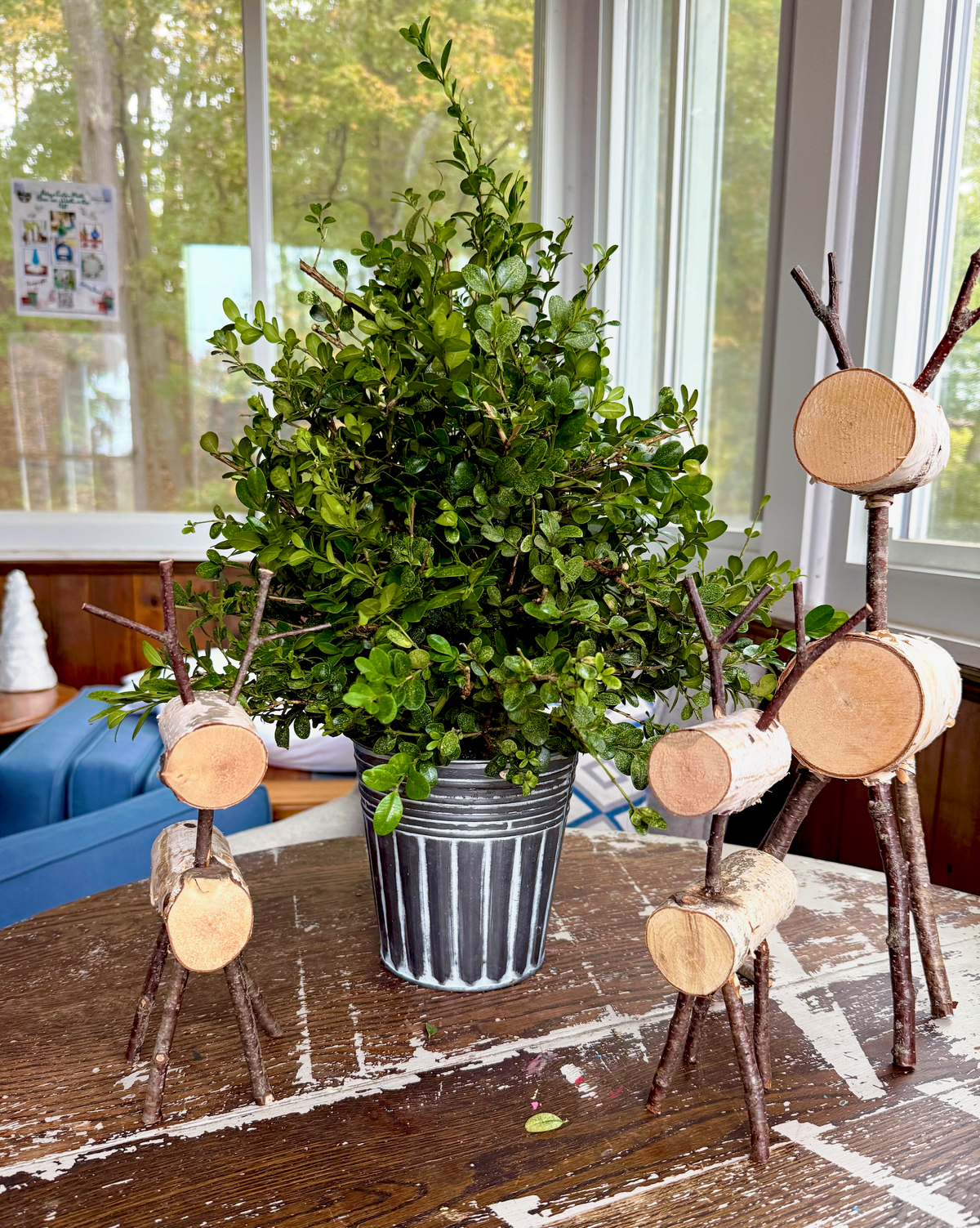 12/4/2026 Fresh Boxwood Tree Workshop @ Art Workz Creative Studio-Amesbury, MA