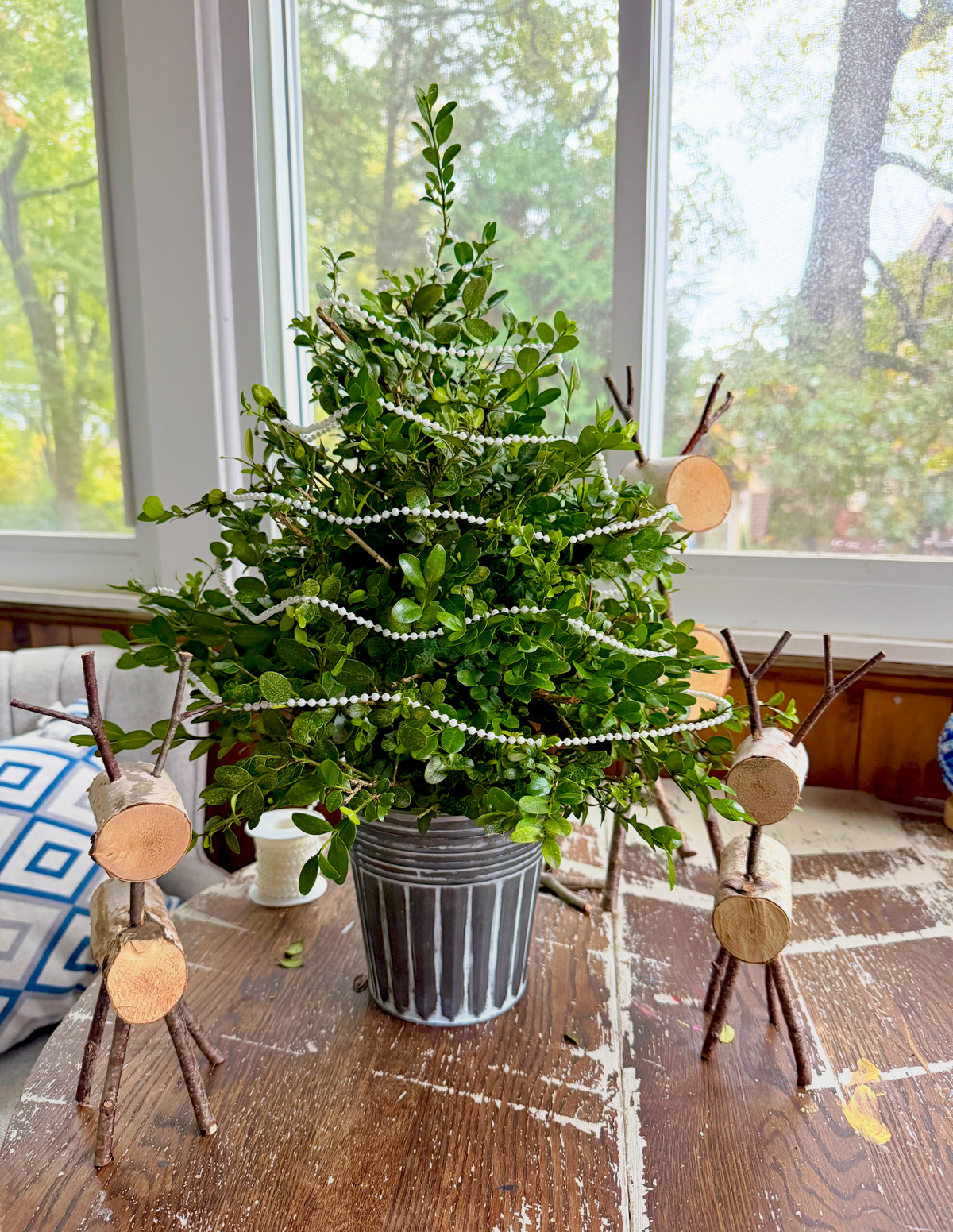 12/4/2026 Fresh Boxwood Tree Workshop @ Art Workz Creative Studio-Amesbury, MA