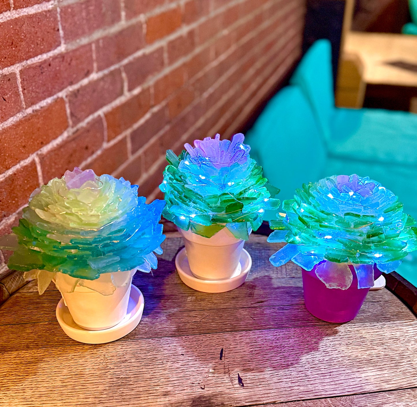 Tumbled Glass Succulent Mail-Home Kit