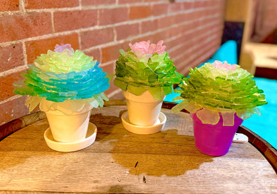 Tumbled Glass Succulent Mail-Home Kit